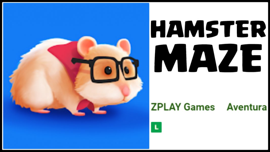 hamster maze results